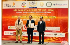 Vikki Digital Bank đạt Top 10 Thương hiệu Mạnh Diễn đàn hợp tác kinh tế Asean 2025
